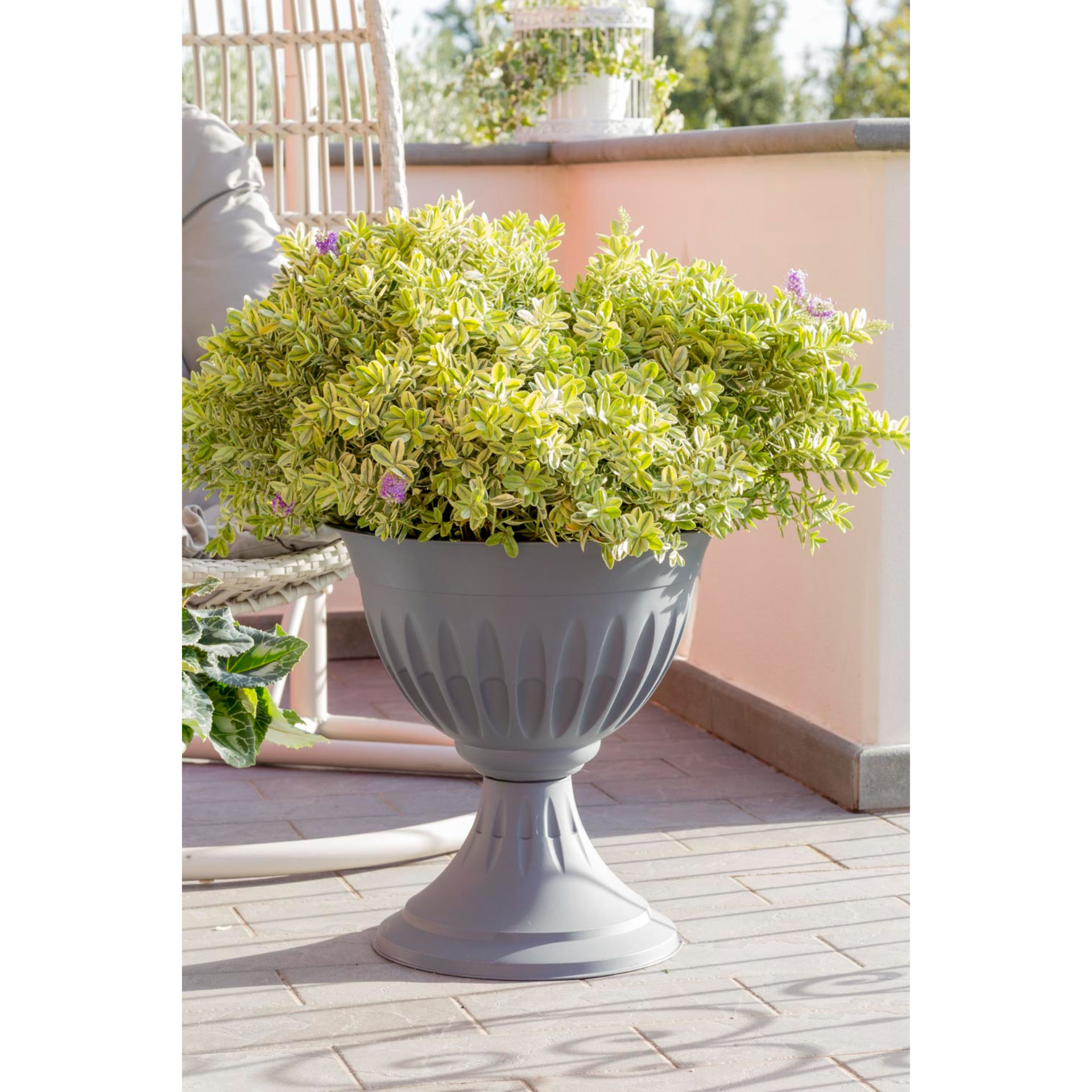 BAMA CALICE  ALBA   33 GRIGIOBama