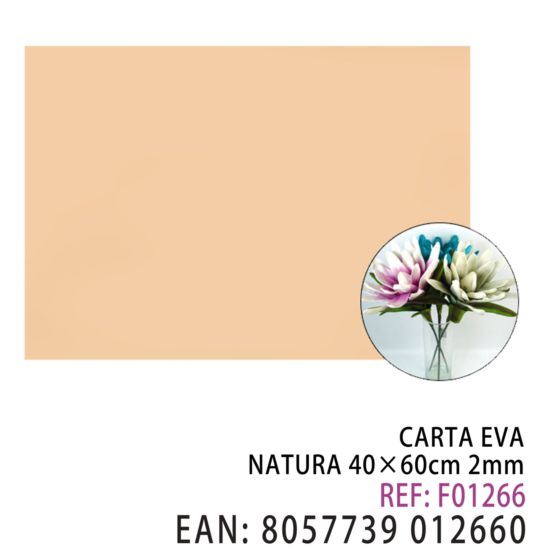 EVA NATURA 40 X 60 CMDz