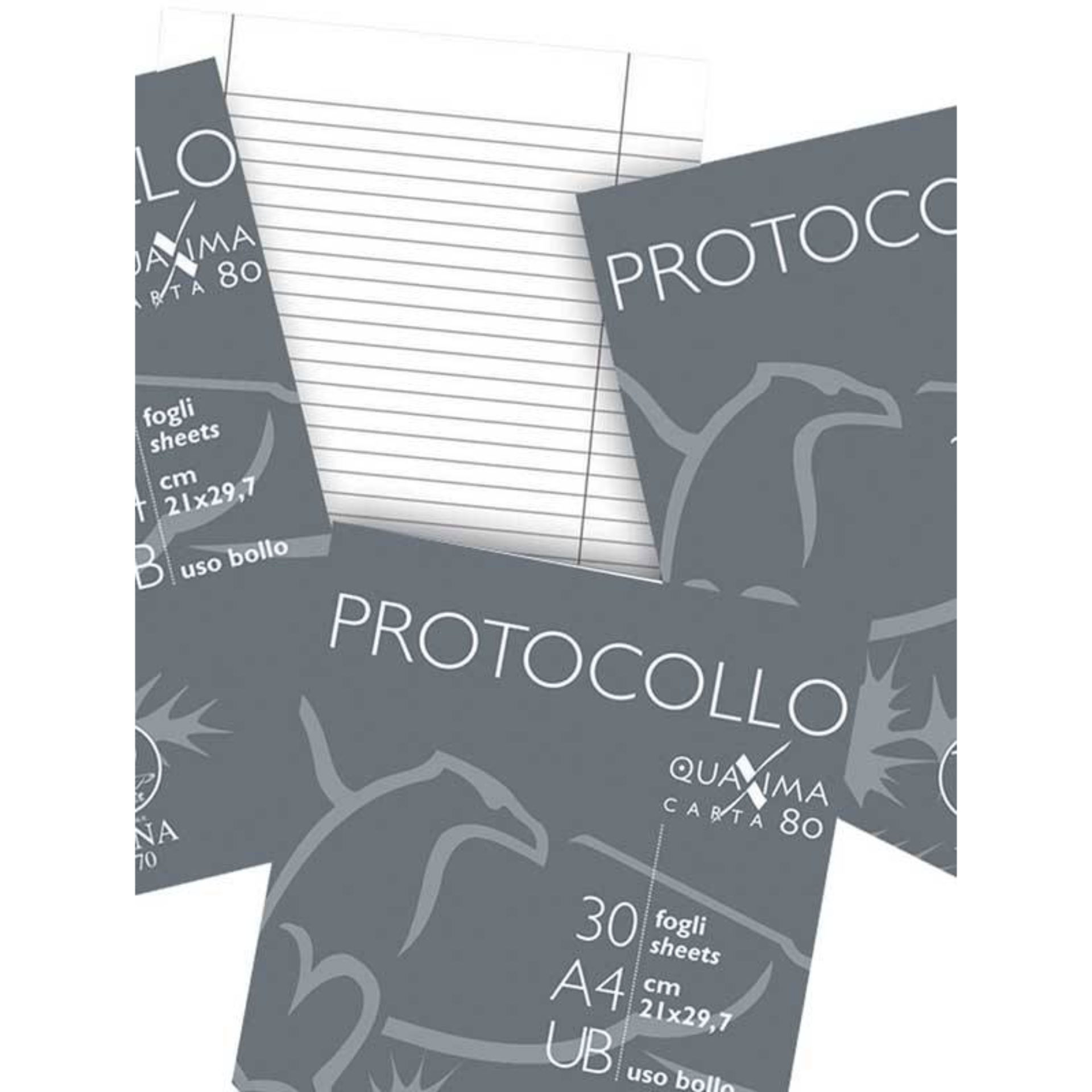 PROTOCOLLO PIGNA U.B. 30 FG. GR.80Pigna