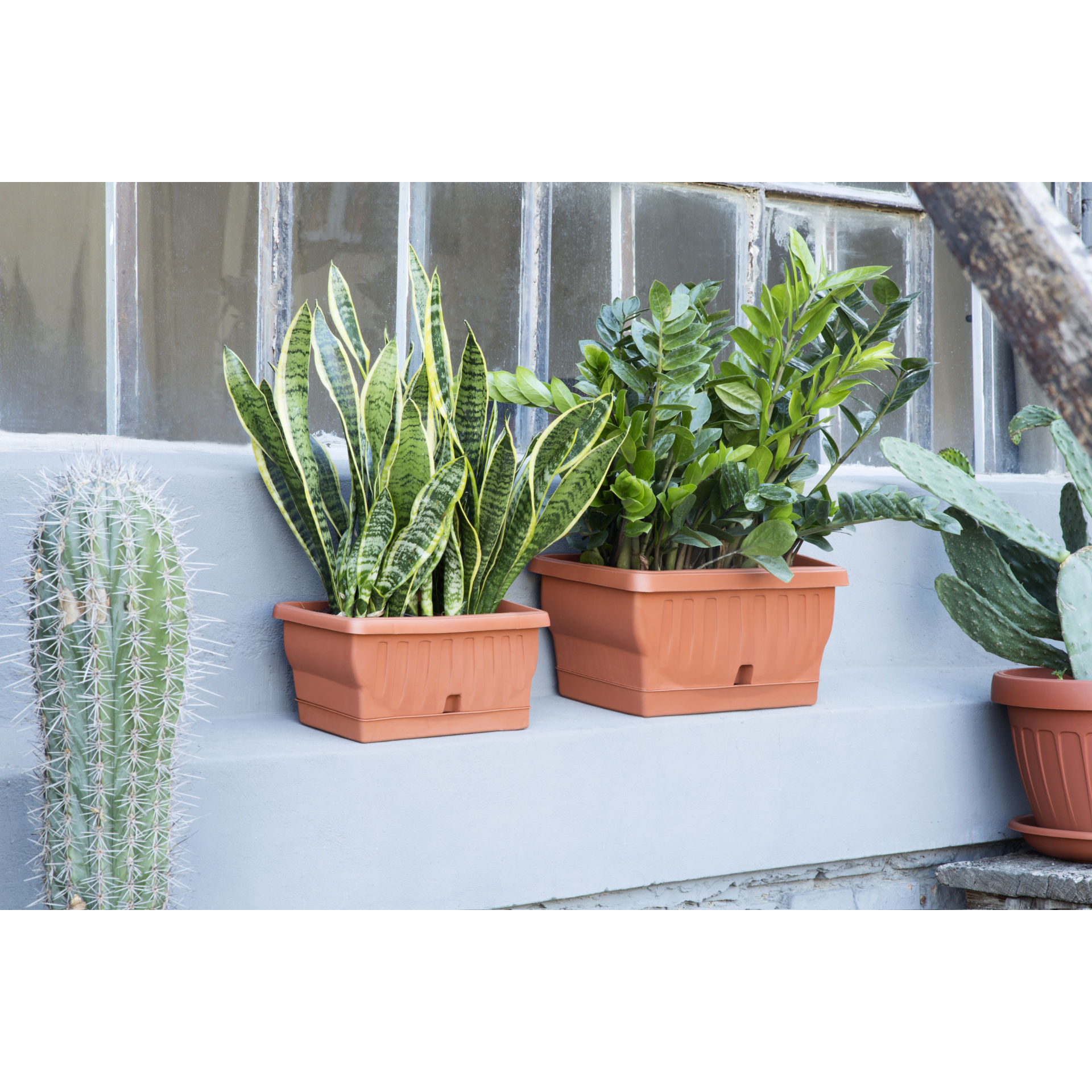 FIOR. NATURA  CM 30 TERRACOTTA