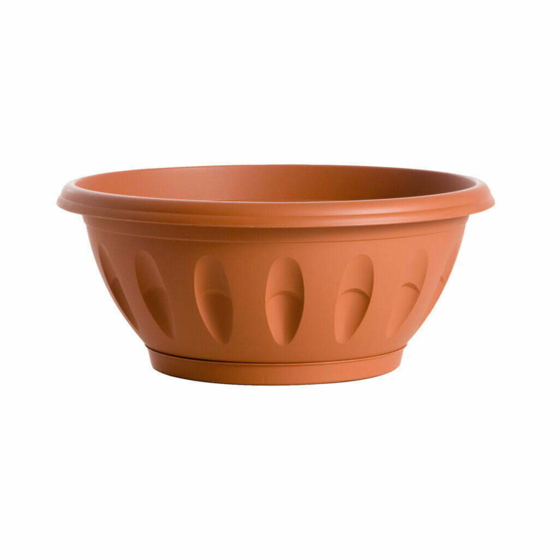 CIOTOLA  ALBA  D.50 C/SOTTOV.Bama