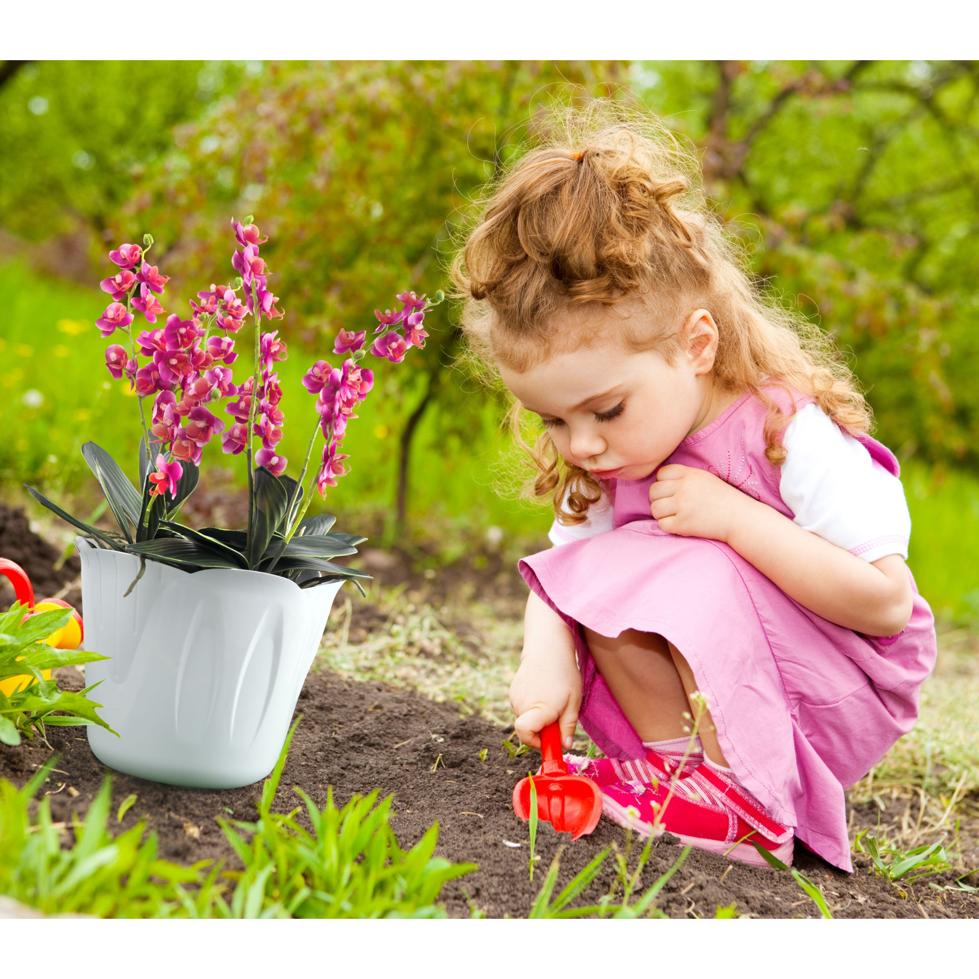 PORTAVASO  MIMOSA   15 BIANCOBama