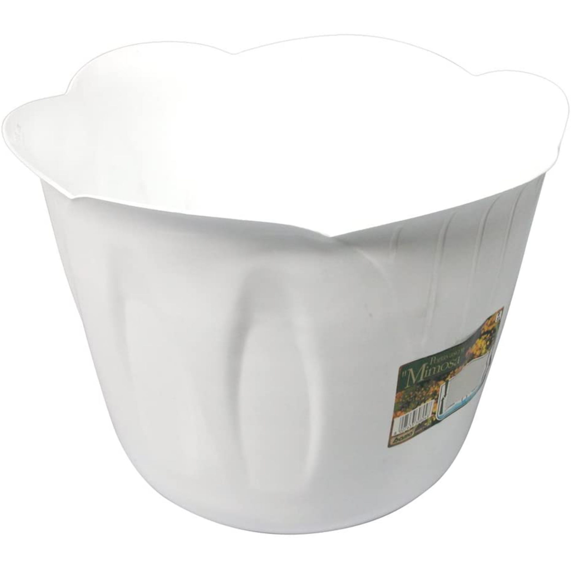 PORTAVASO  MIMOSA   20 BIANCOBama