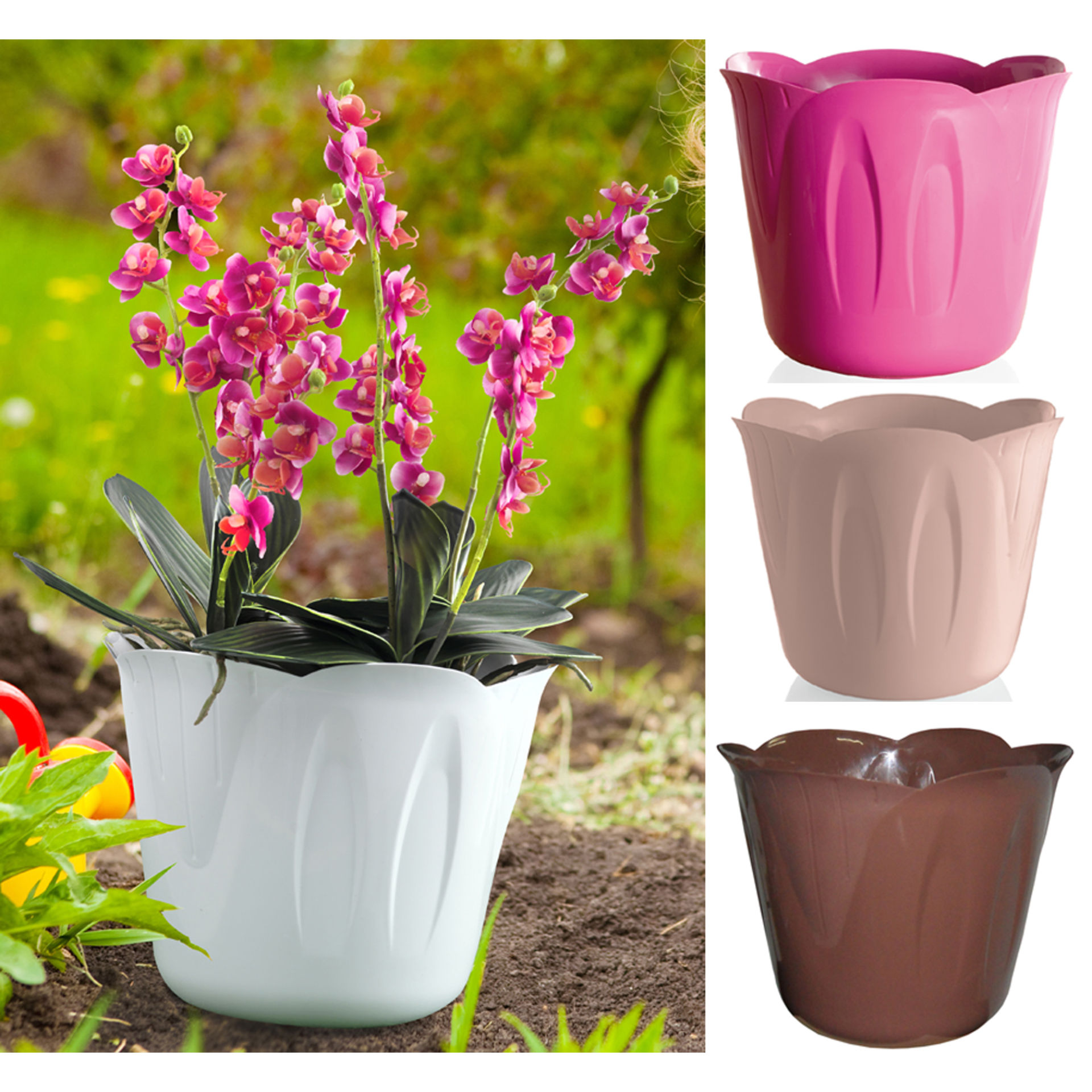 PORTAVASO  MIMOSA   25 BIANCOBama