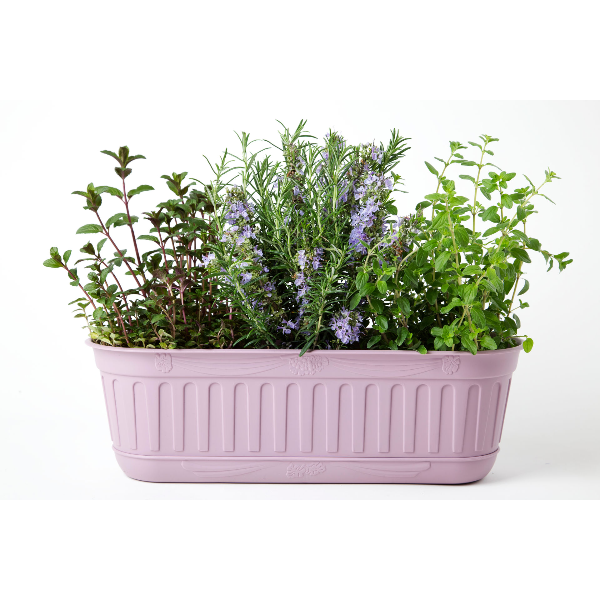 FIORIERA  ETIKA  CM.48 LAVANDA