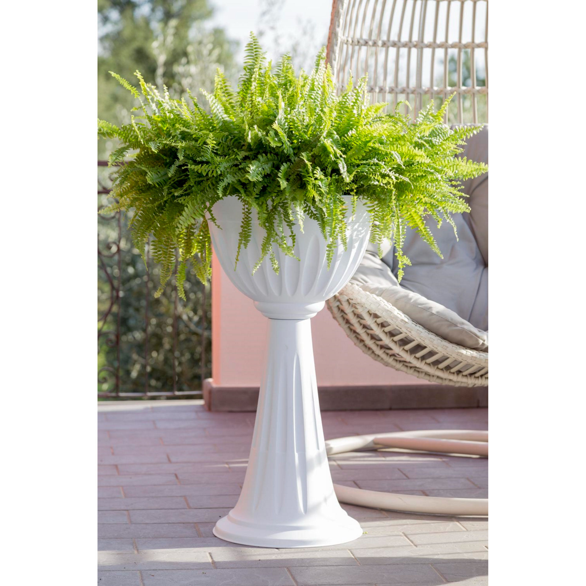 COLONNA ALBA  43  BIANCOBama