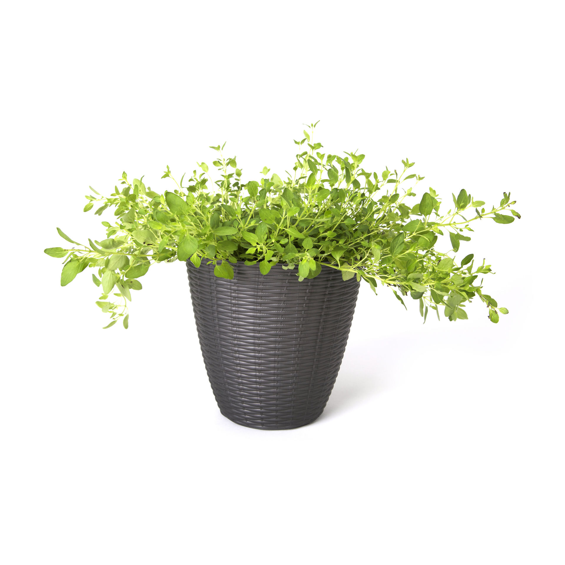 PORTAVASO  PAGLIA   14 ANTRACITE