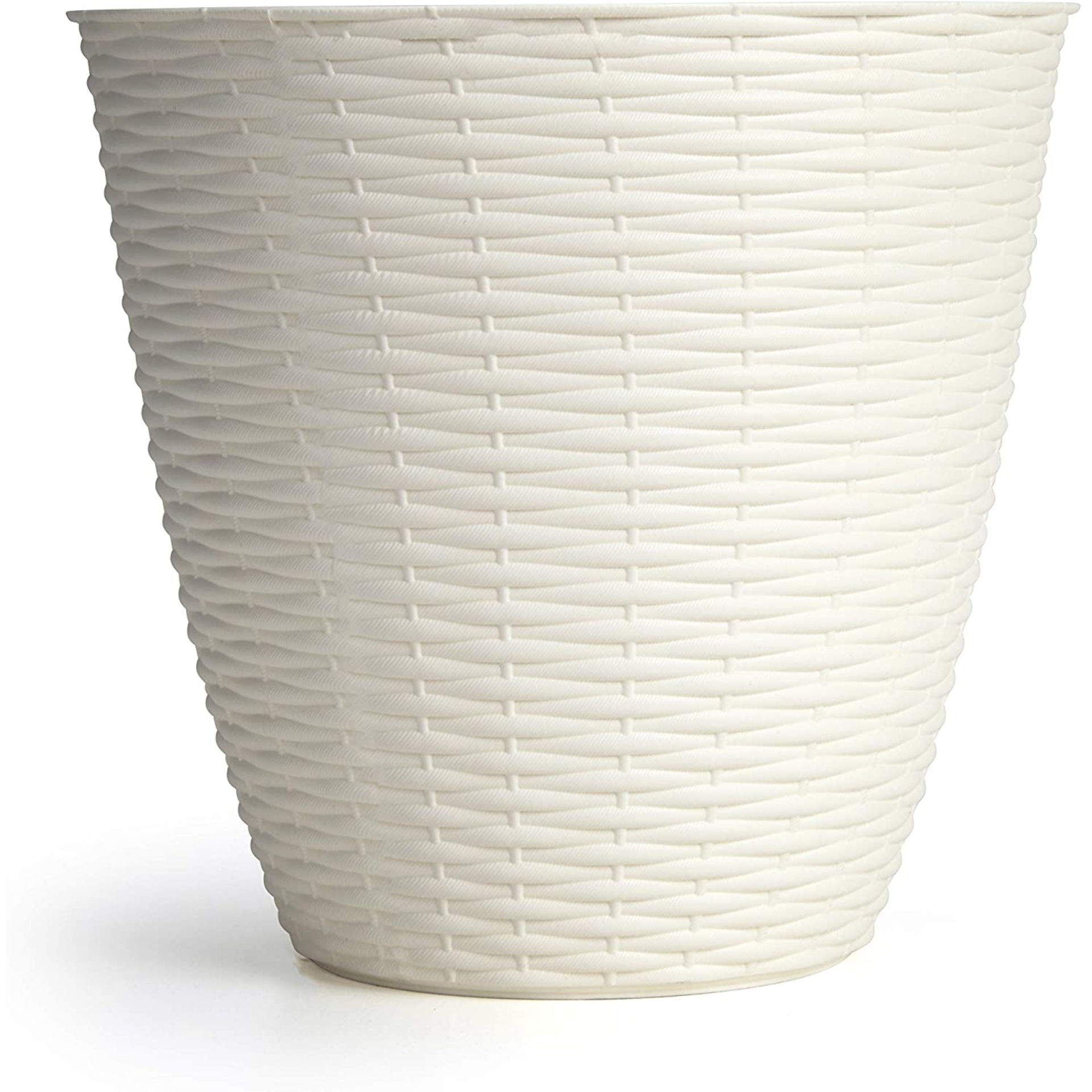 PORTAVASO  PAGLIA   19 PANNABama