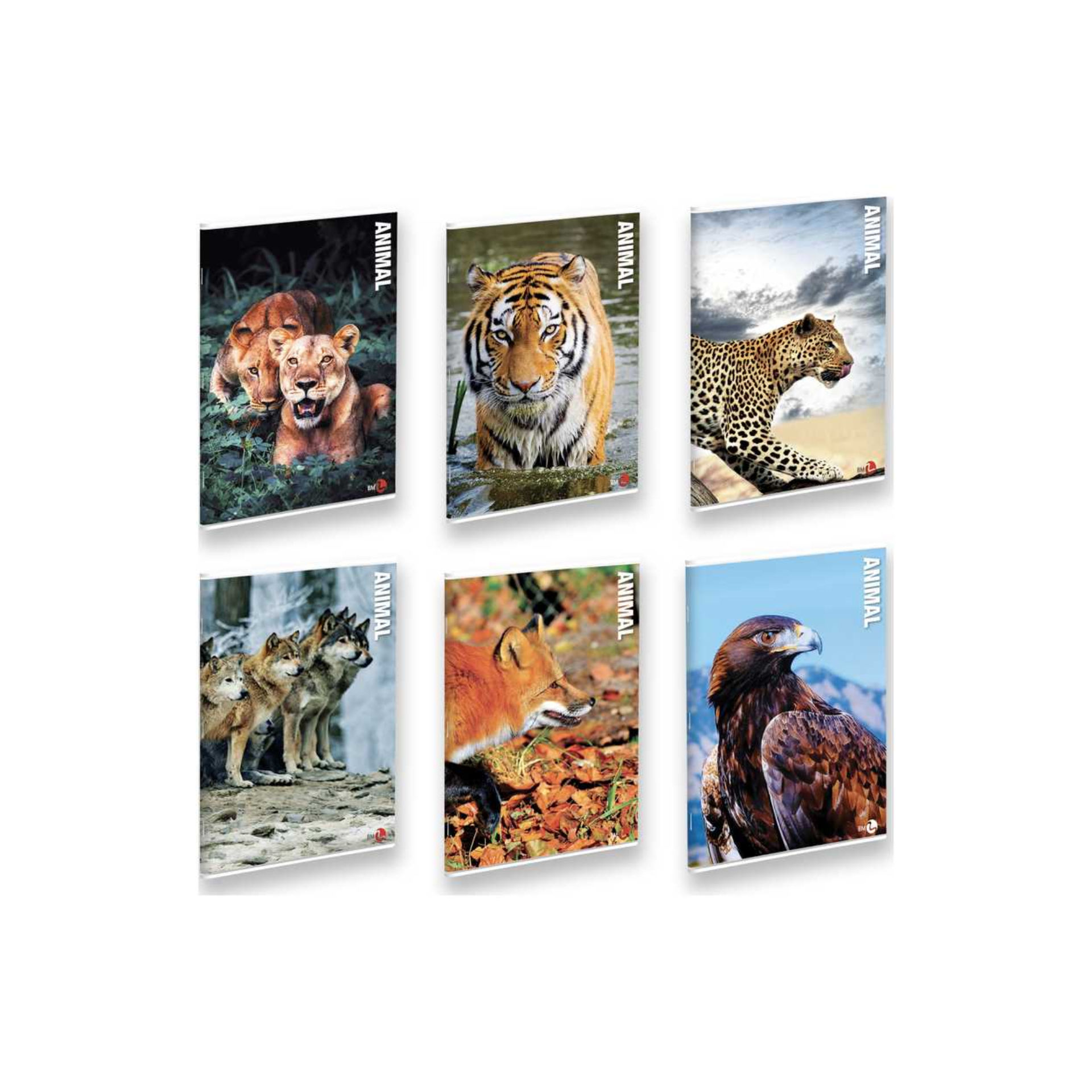 MAXI BM    FG. 21 GR. 80          ANIMAL     5MM