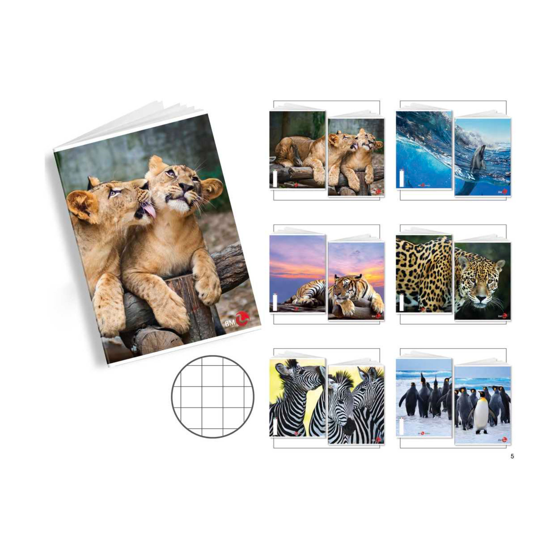 MAXI BM    FG. 21 GR. 80          ANIMAL     10MM