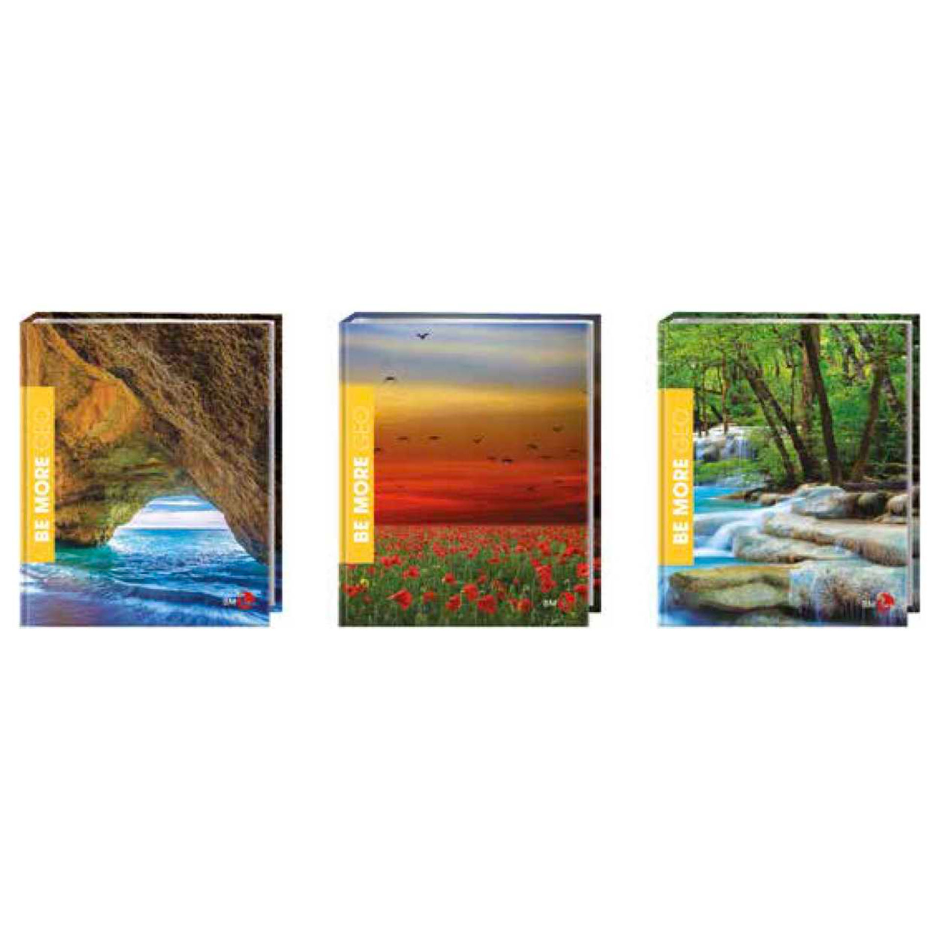 COPERTINA ANELLI BM DM. 30 GEO