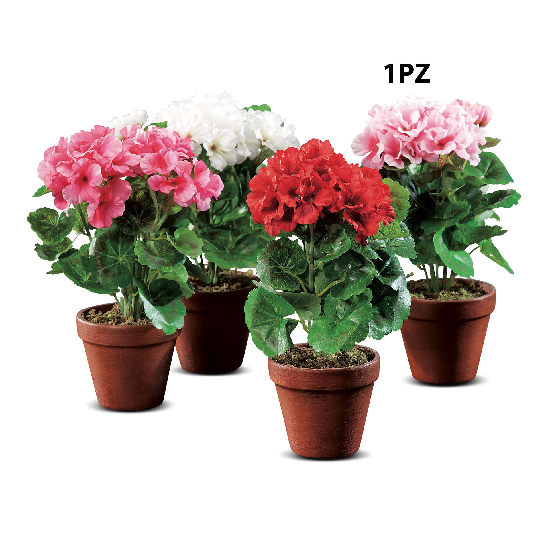 VASO GERANEI ASS4COL D10,5XH38