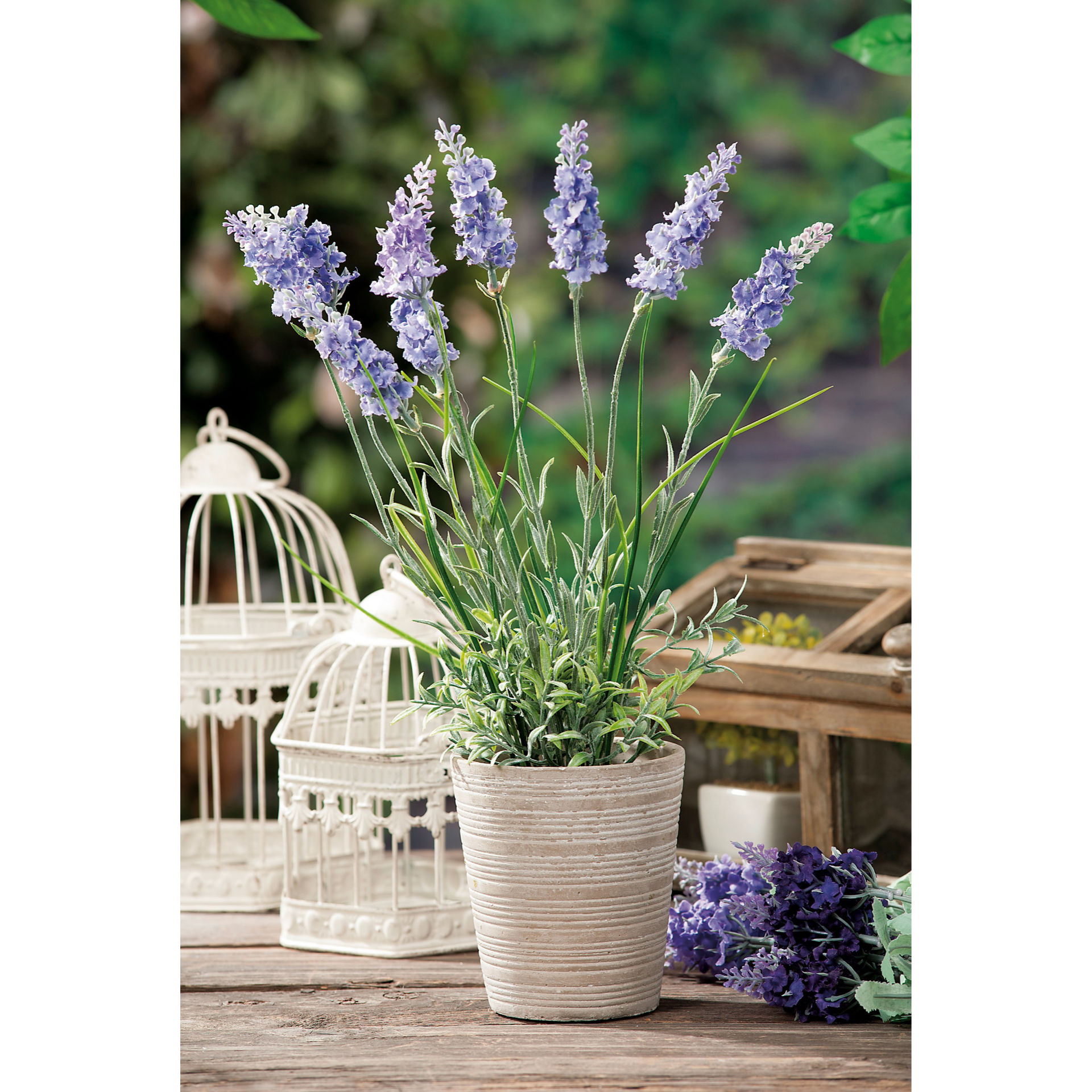 VASO C/LAVANDA DIAM10XH40