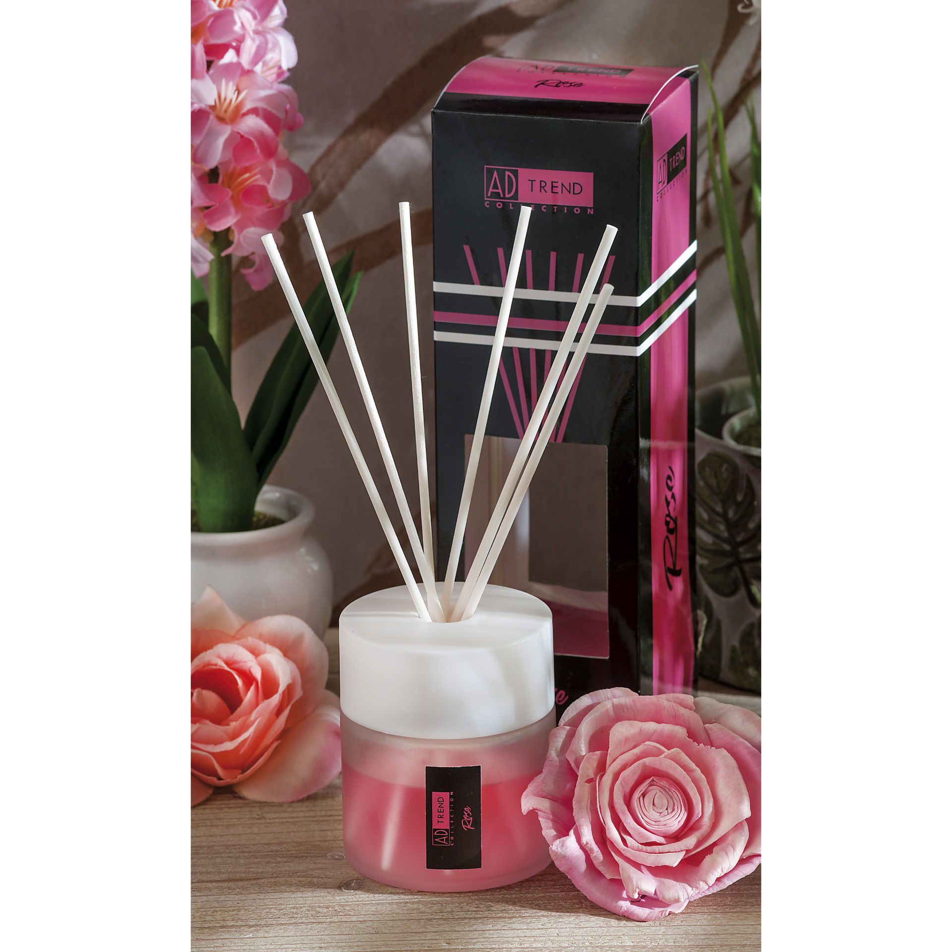 DIFFUSORE FRAGR+BASTONC A6FR 100ML