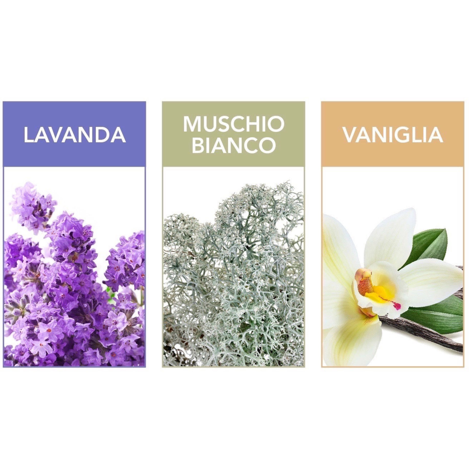 BUSTA SALVASPAZIO ASS3FR CM60X90