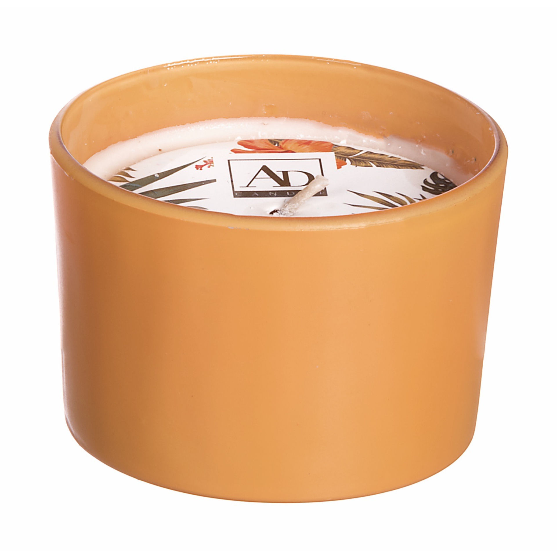 CAND PROF VASETTO VET A4FR D7,5XH4