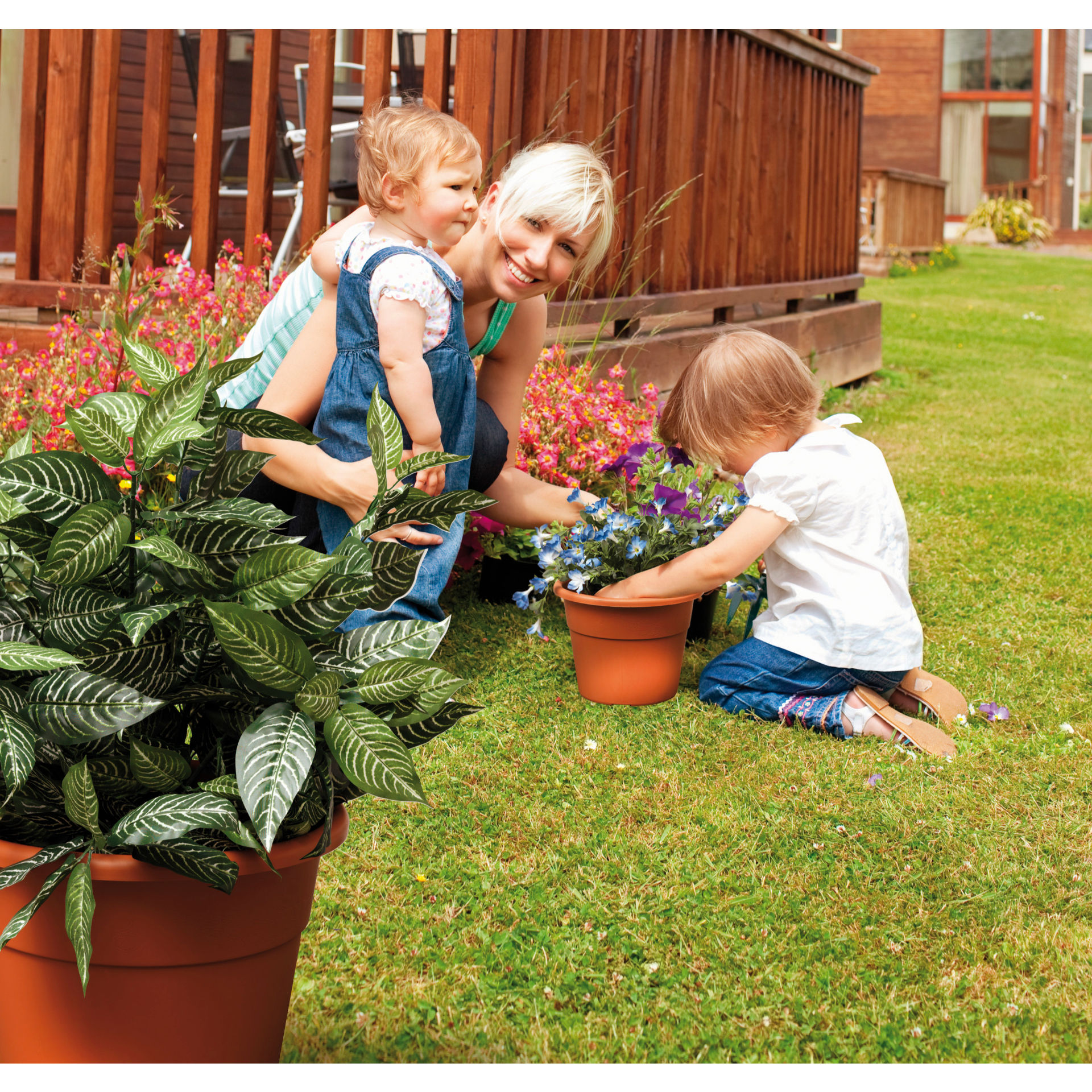 VASO  HEDERA  D 20 TERRACOTTA