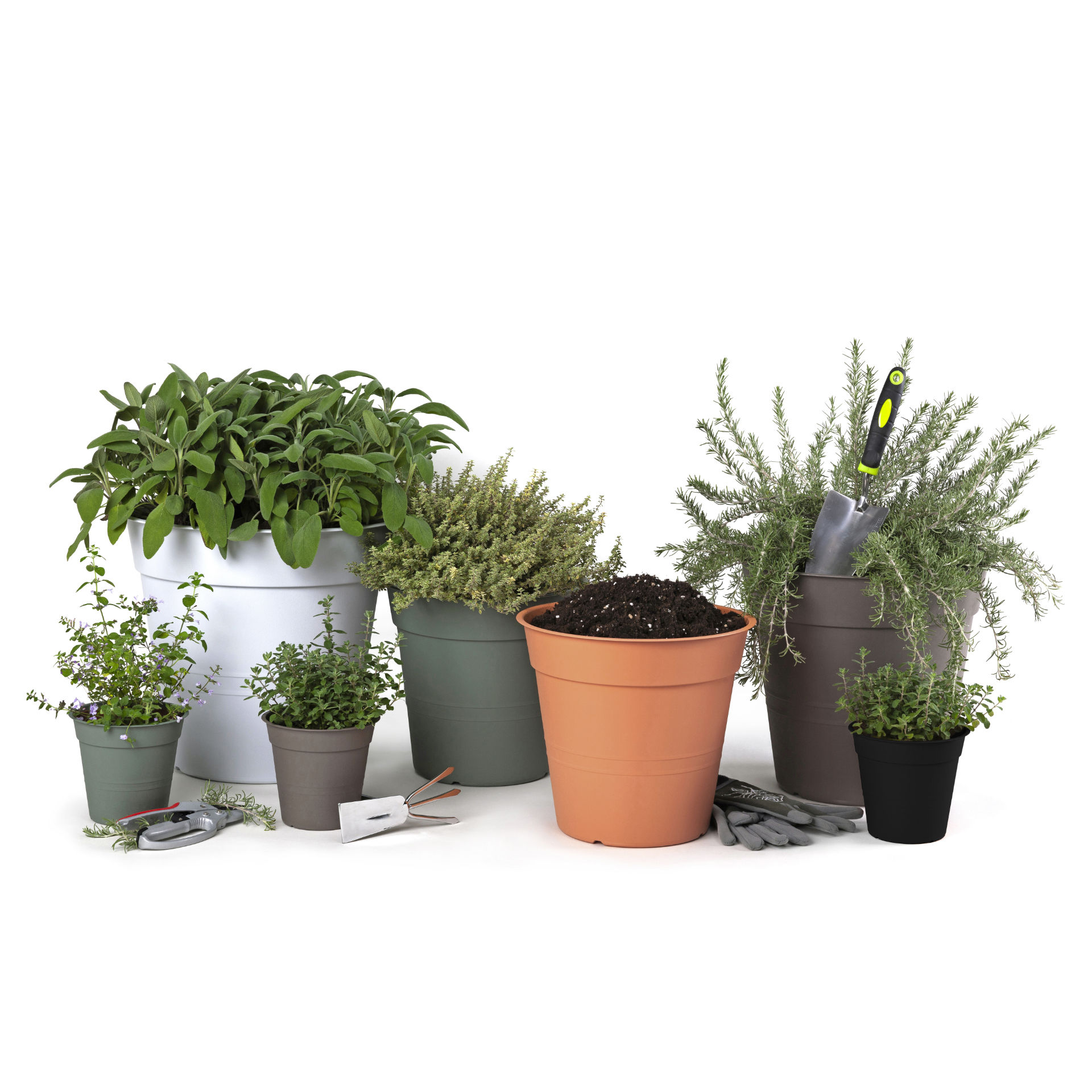 VASO FLY D.15 NEROBama