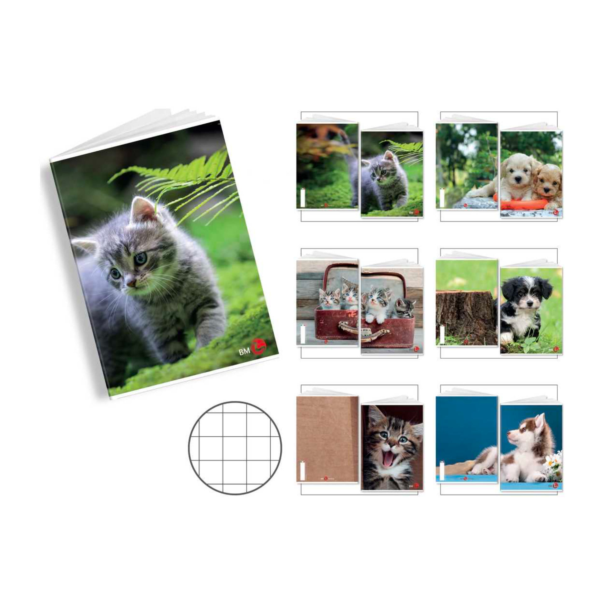 MAXI BM    FG. 21 GR. 80          CUTE       10MM