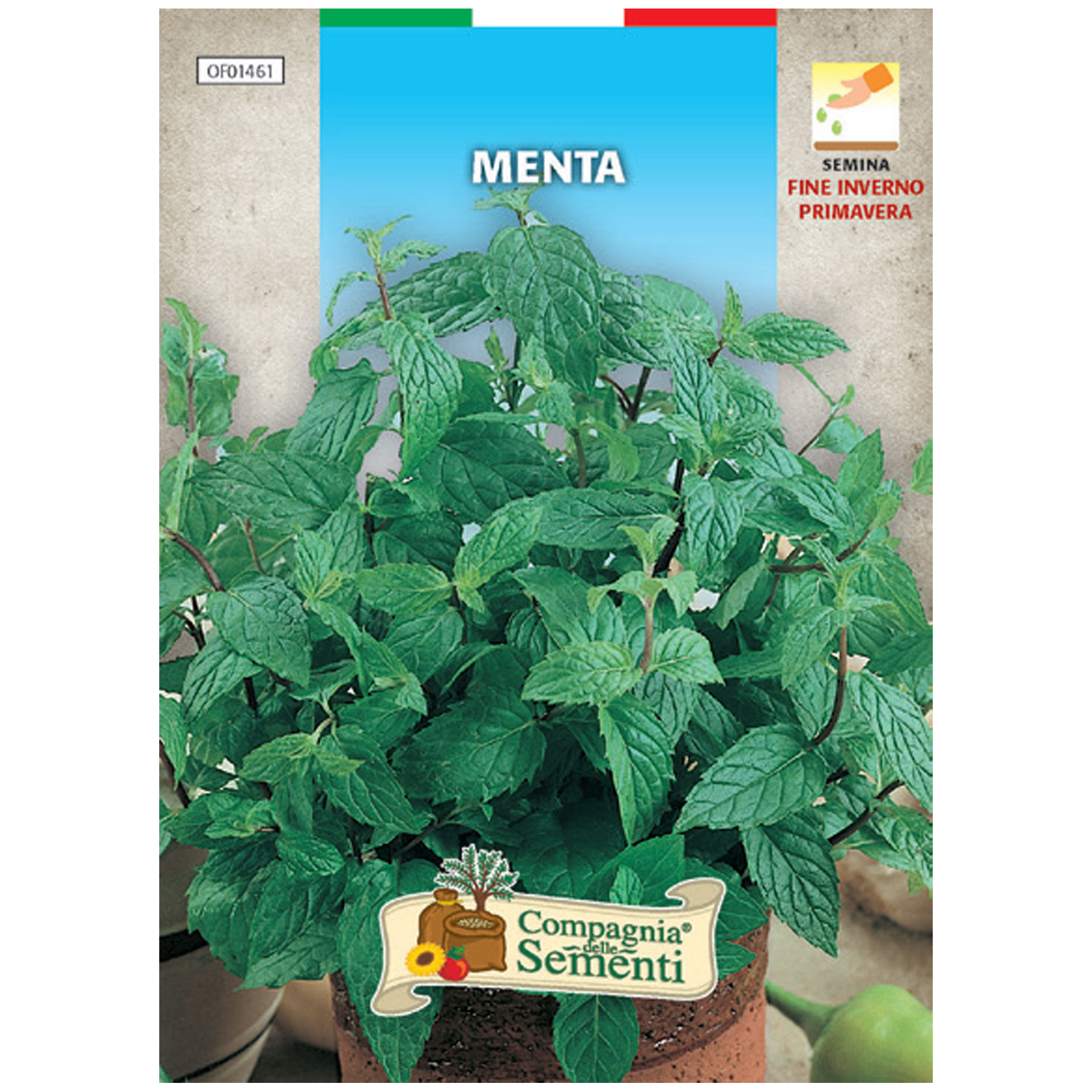 SEMI AROMATICI - MENTAOrganica