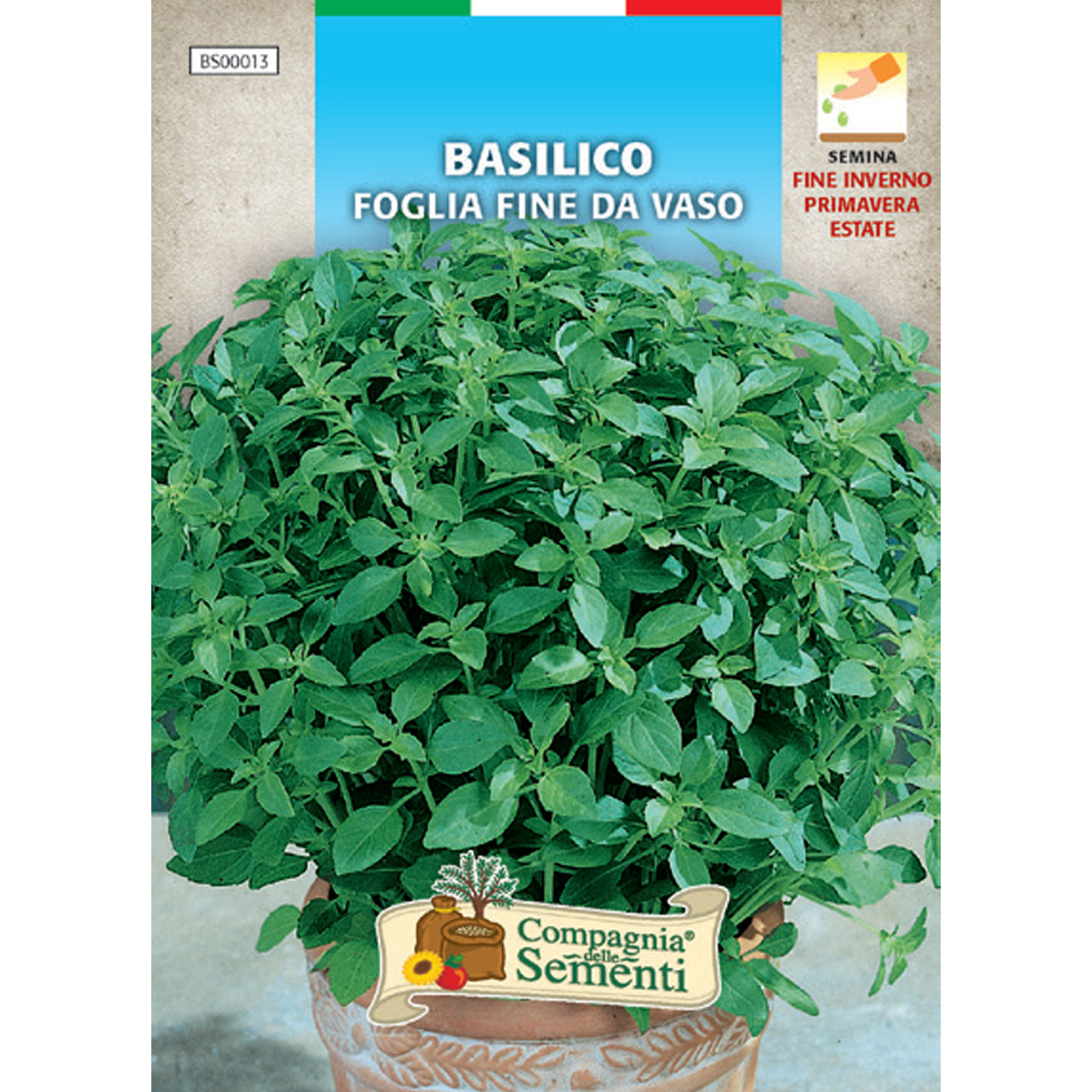 BASILICO FOGLIA FINE DA VASOOrganica