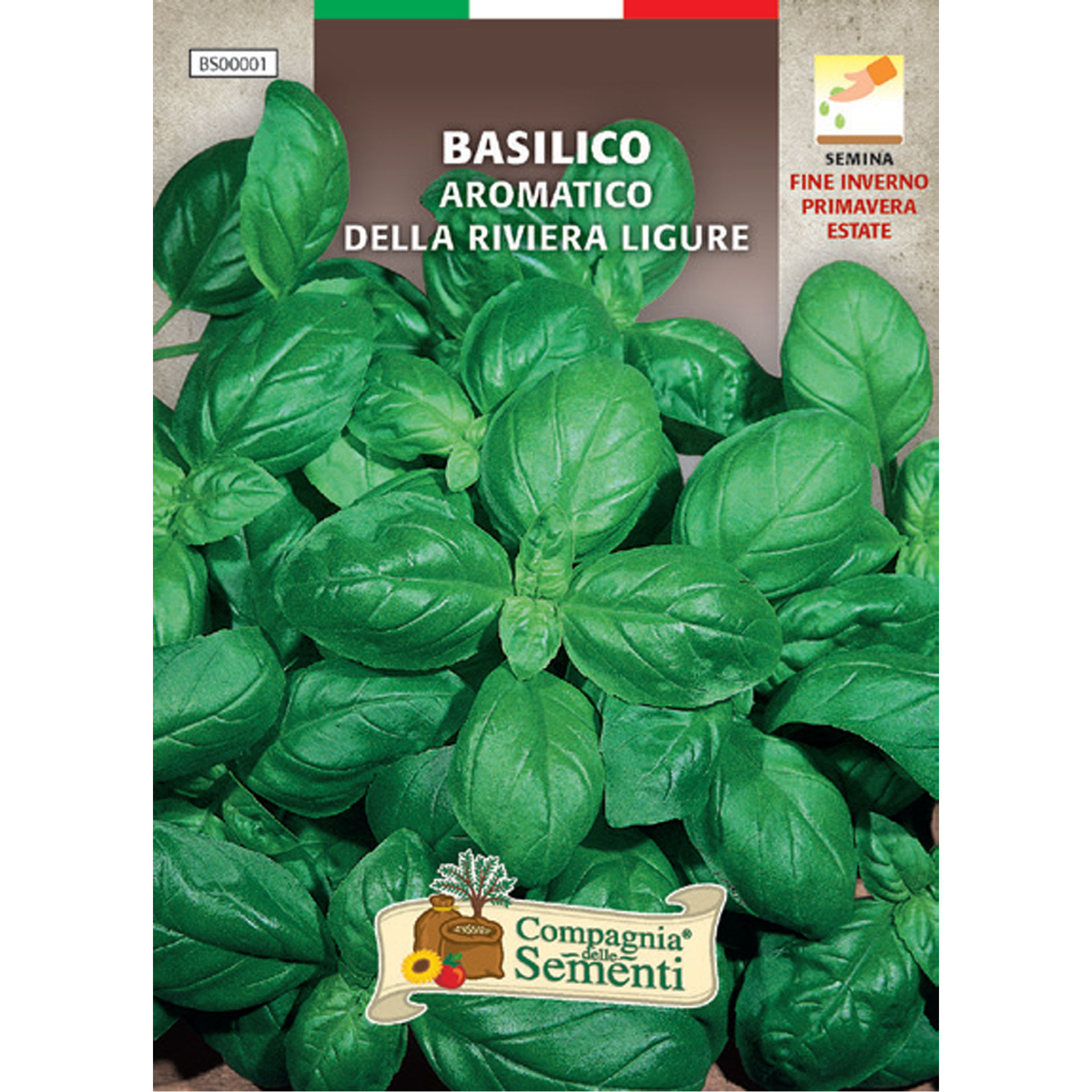 BASILICO AROMATICO RIVIERA LIGUREOrganica