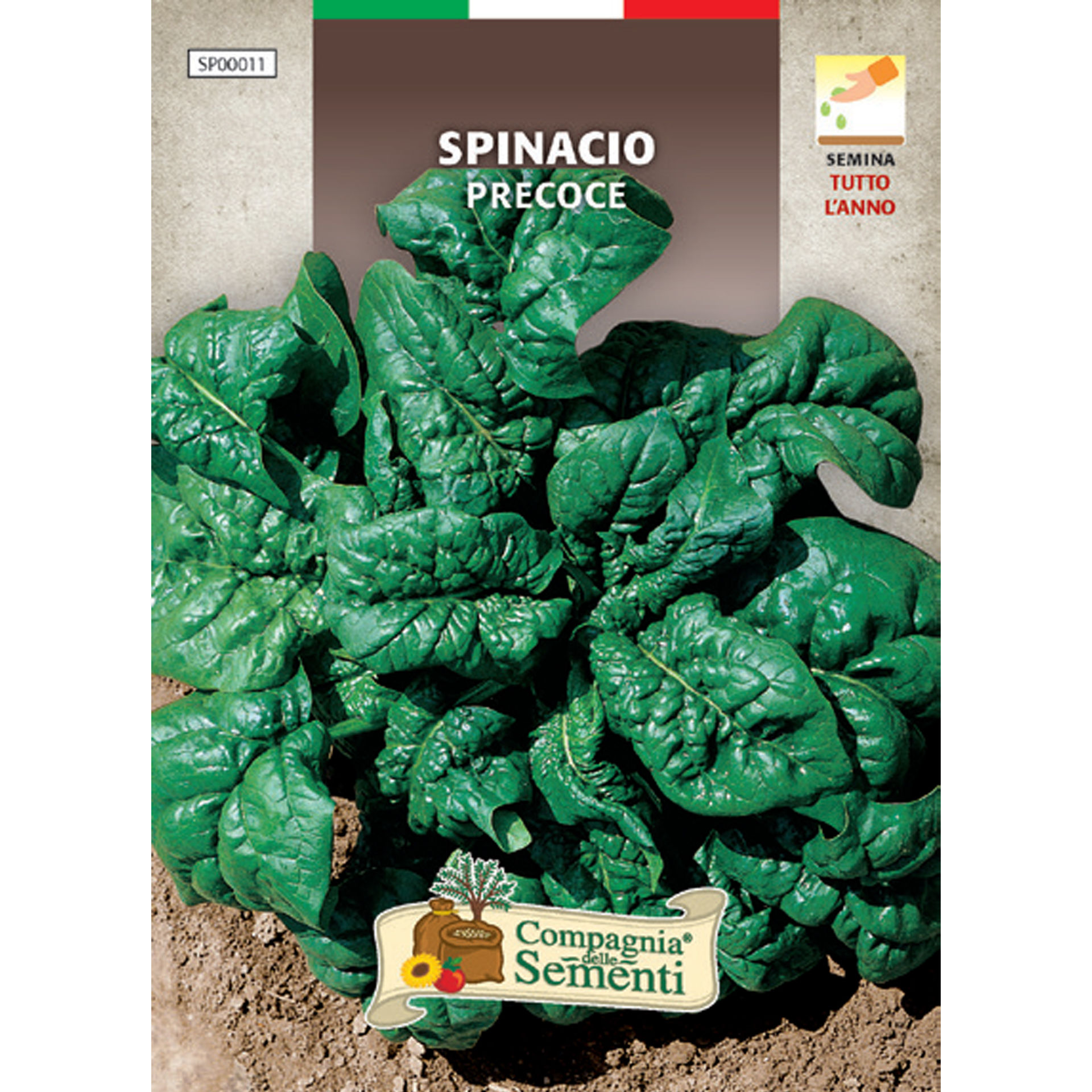 SPINACIO PRECOCEOrganica