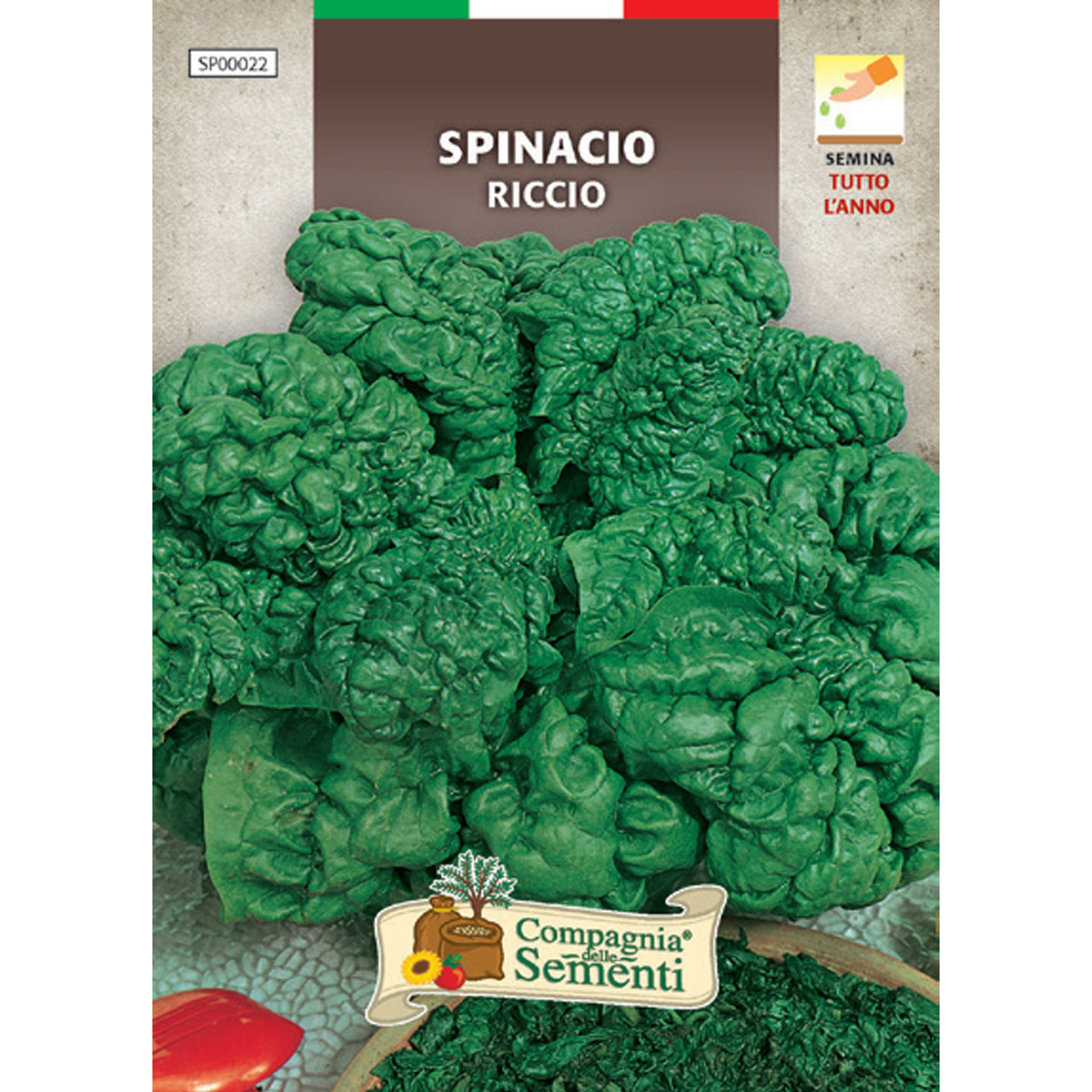 SPINACIO RICCIOOrganica