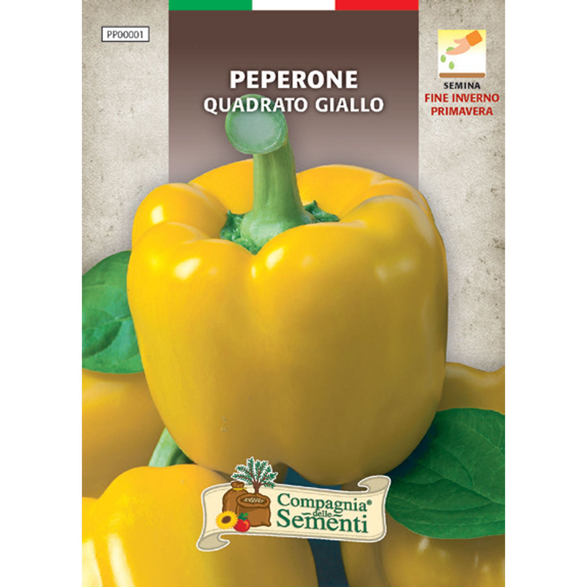 PEPERONE QUADRATO  GIALLOOrganica