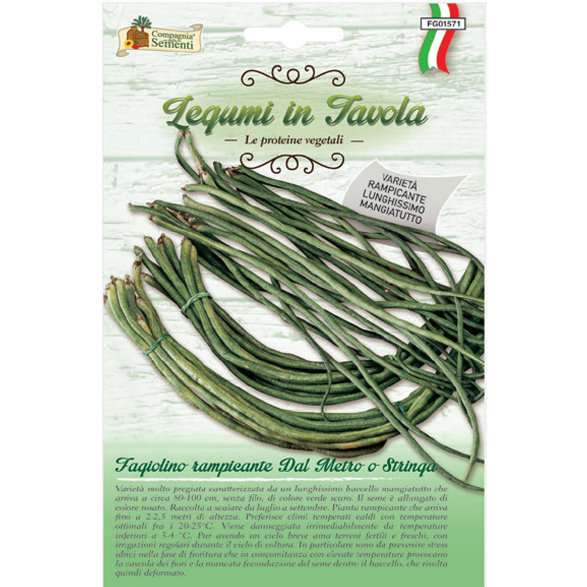FAGIOLINO RAMP. DAL METRO - VERDE LUNGHISSIMOOrganica