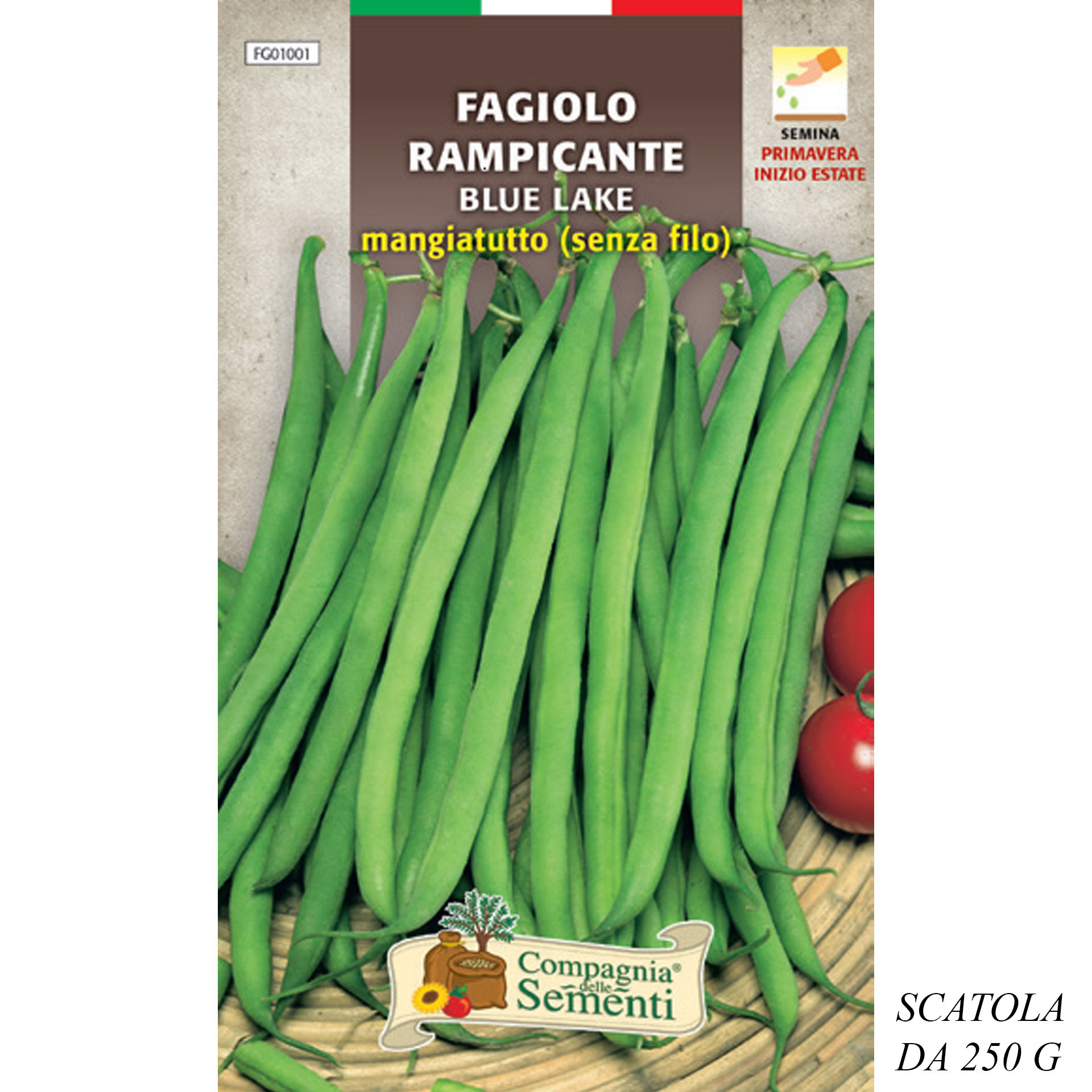 FAGIOLO RAMPICANTE BLUE LAKE MANGIATUTTO (SENZA FIOrganica