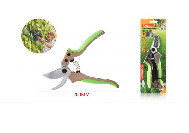 CESOIA TAGLIARAMIEmi Style