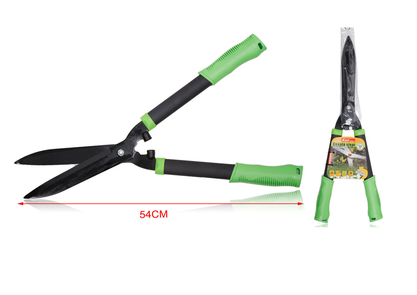 CESOIA SIEPIEmi Style