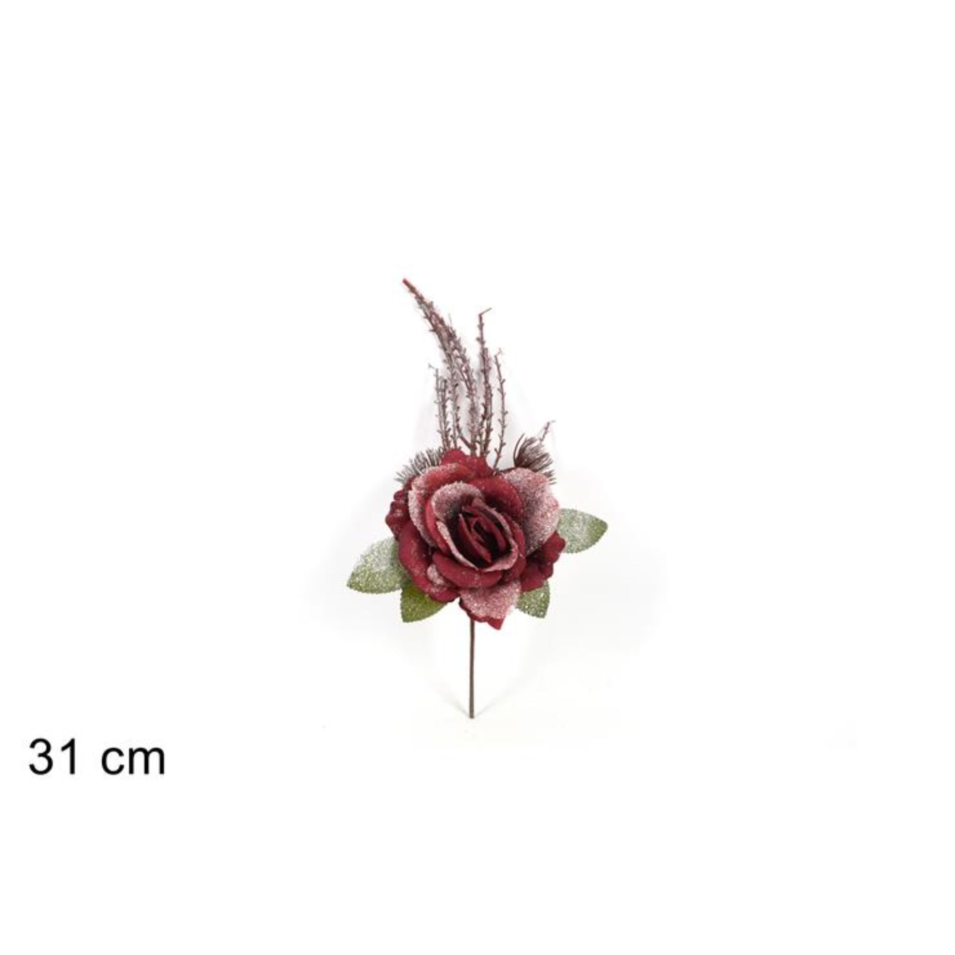 STELO ROSA INNEVATA BORDEAUX B6M-6683/BURGUNDYDue Esse