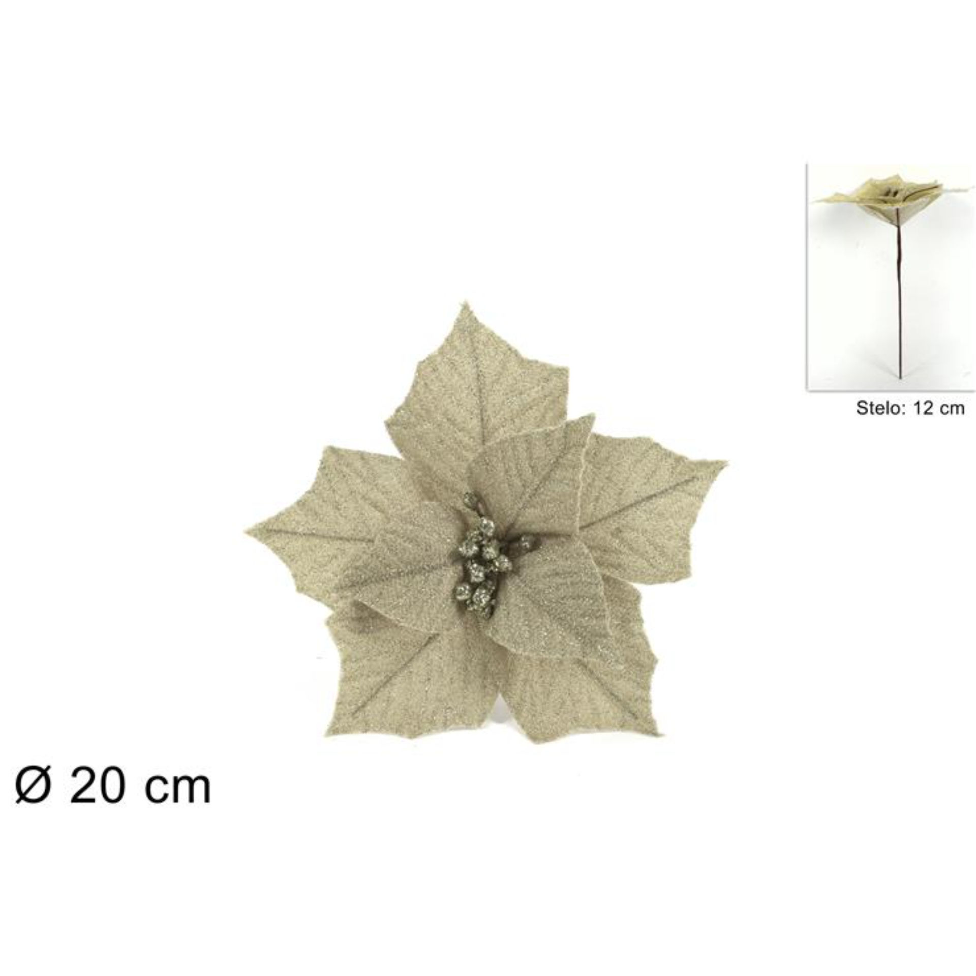 STELO FIORE NATALIZIOCHAMPAGNE MGF21169CHAMPAGNEDue Esse