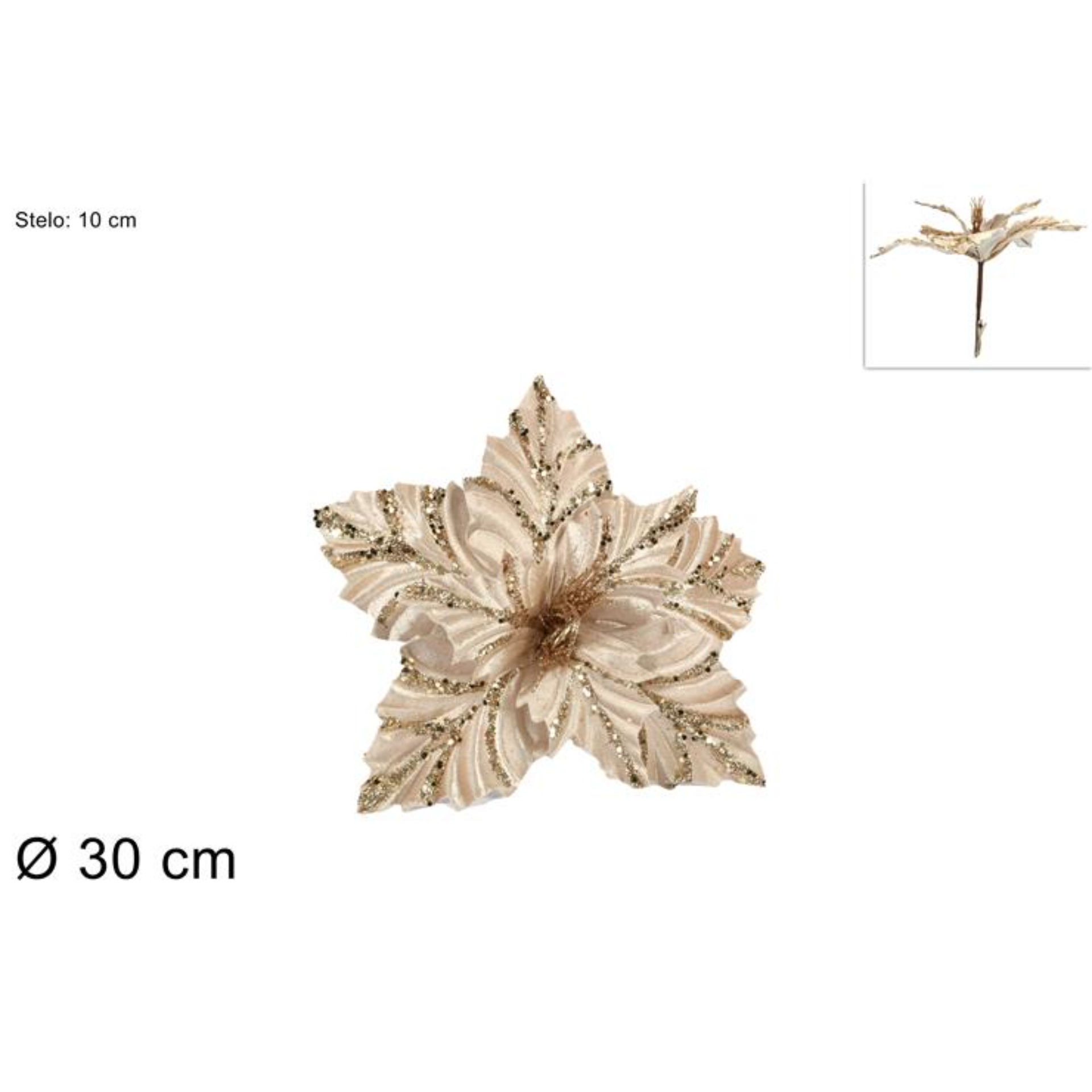 FIORE VELLUTO C/PINZETTA CHAMPAGNE B80M025-1/CHAMPDue Esse