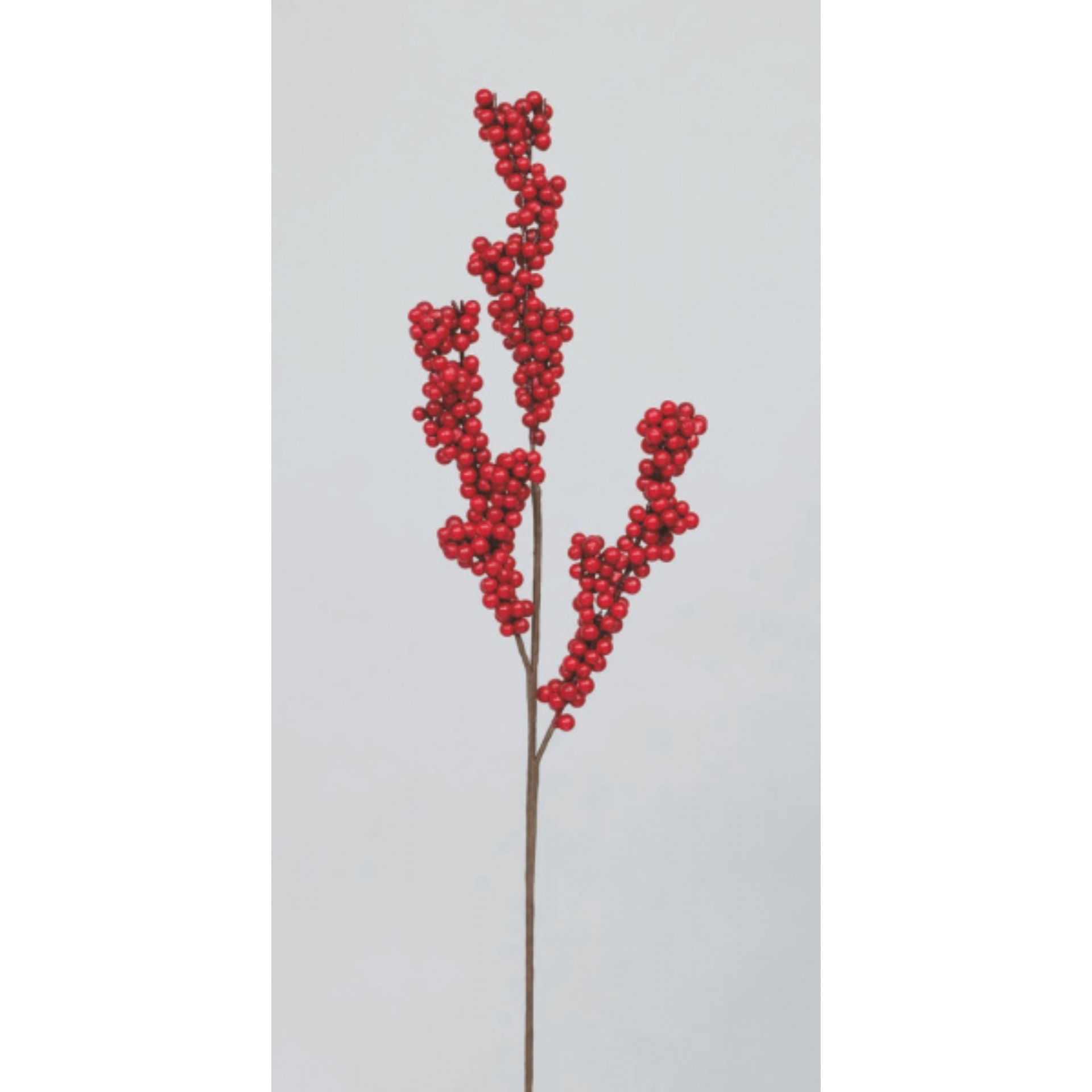 RAMO PVC CM.69 C/BACCHE ROSSE