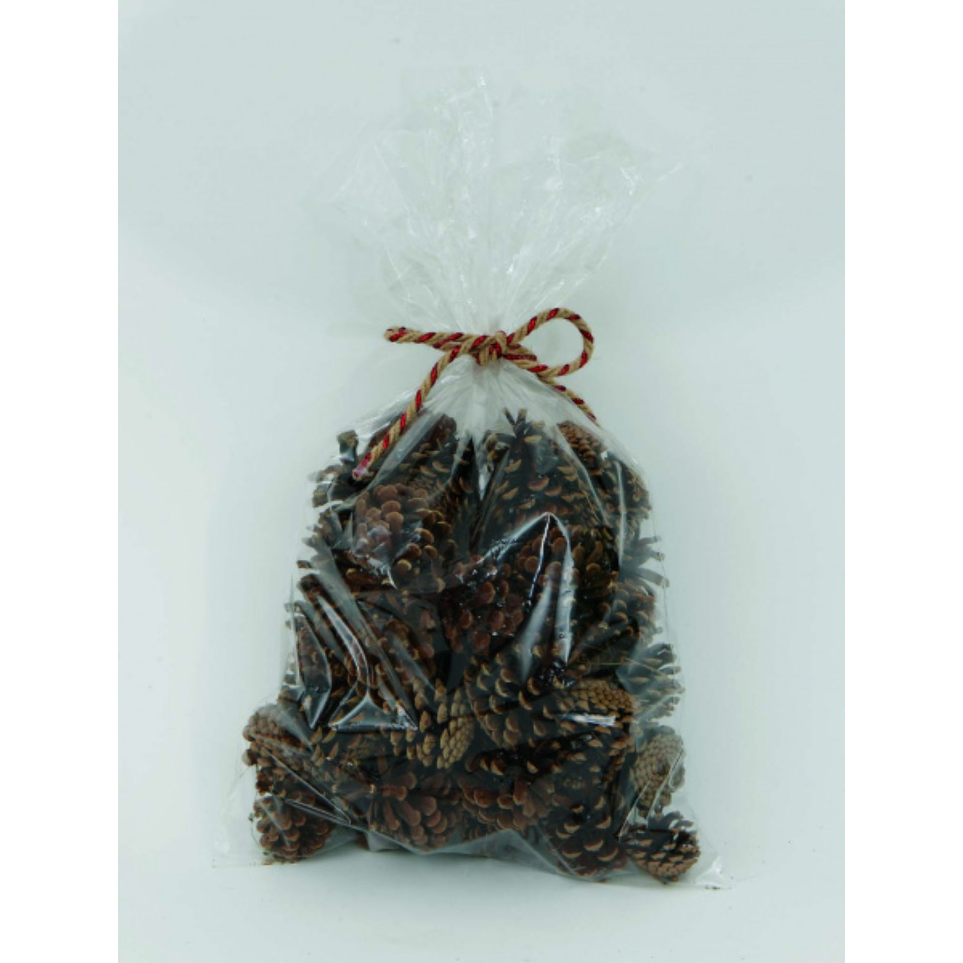 BUSTA CON PIGNE NATURALI GR.400