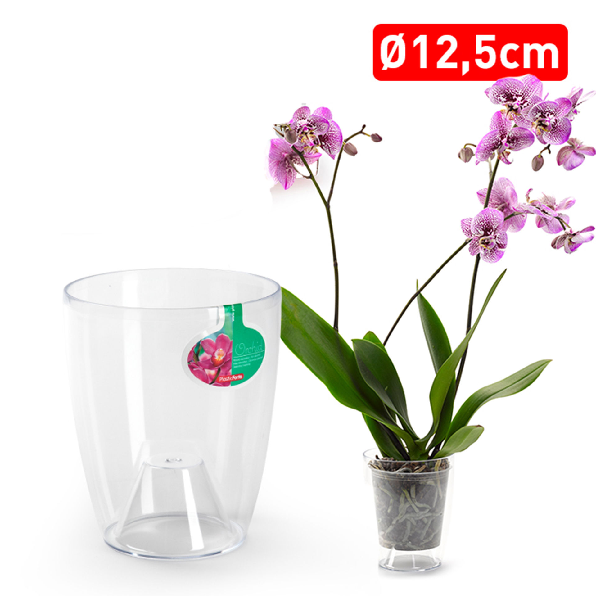 VASO ORCHIDPlastic Forte