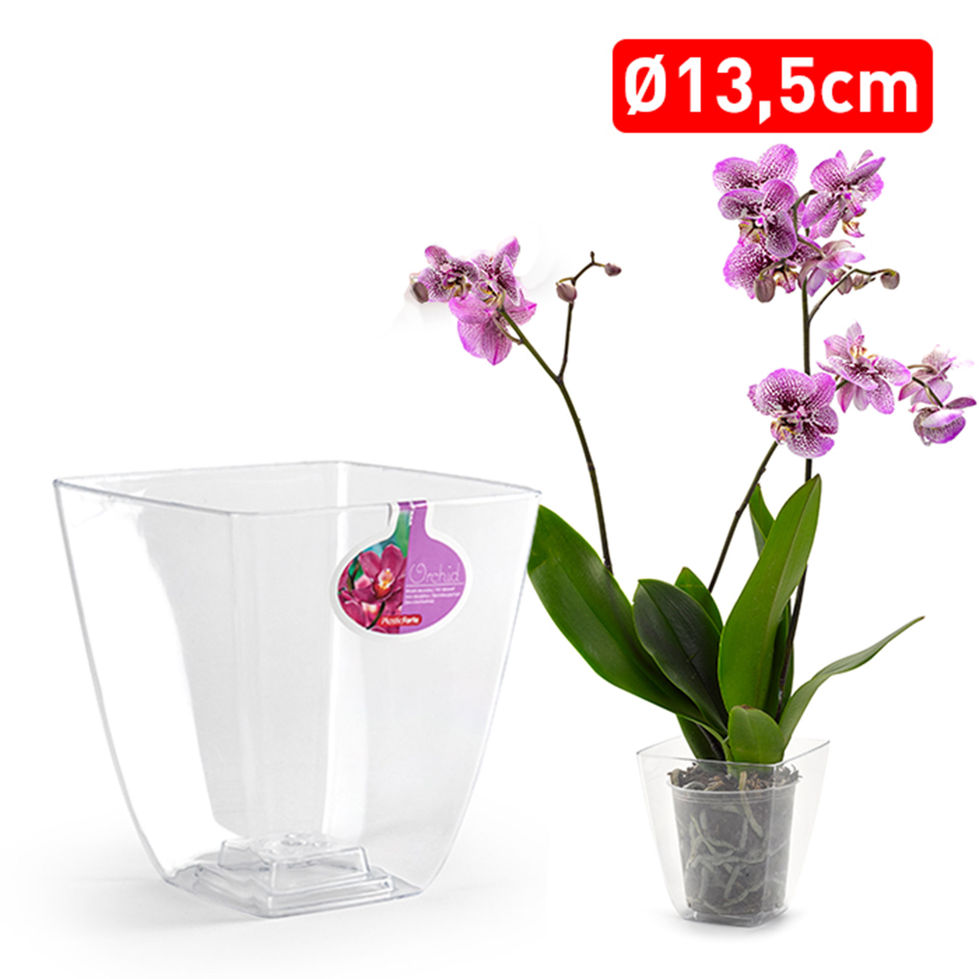 VASO QUADRATO ORCHIDPlastic Forte