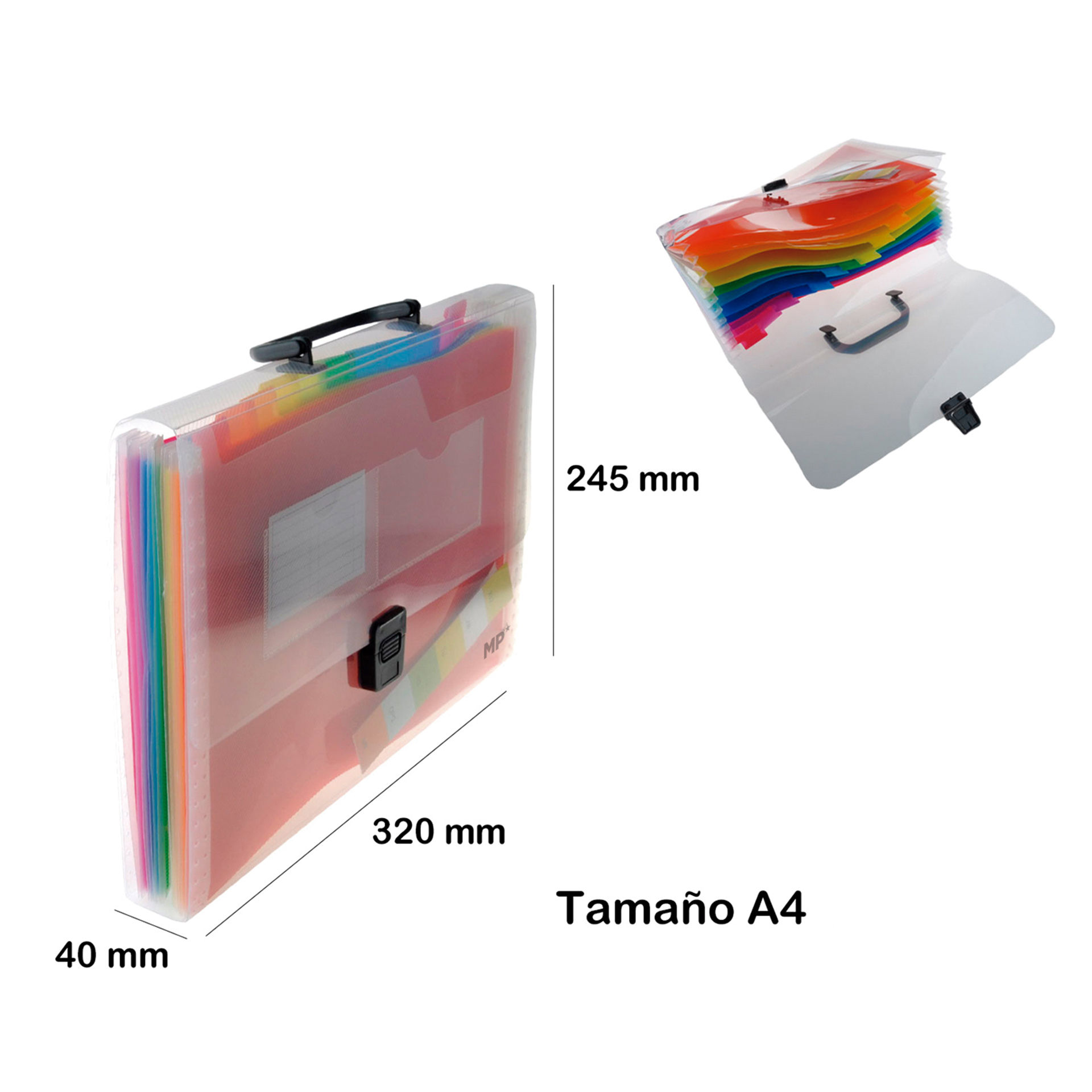 VALIGGETTA FISARMONICA A4 TRASPARENTE CON CHIUSURA