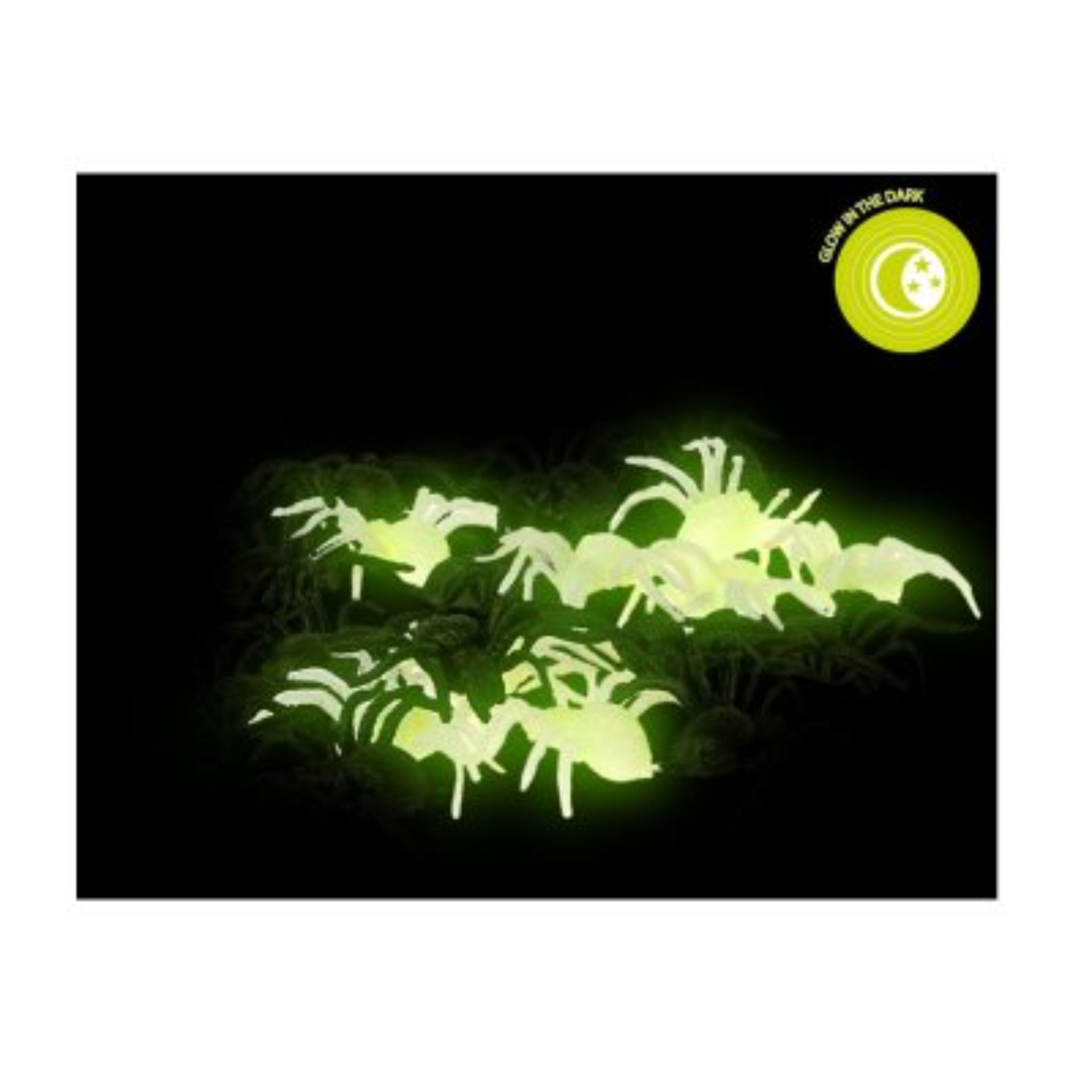 RET/SLC. ACC. DECORAZIONE RAGNI GLOW IN THE DARK 2Atosa