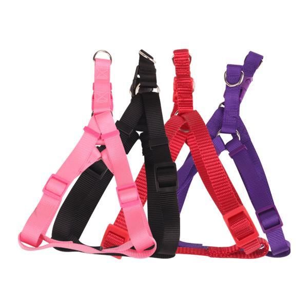 PETTORINA X CANI E GATTI