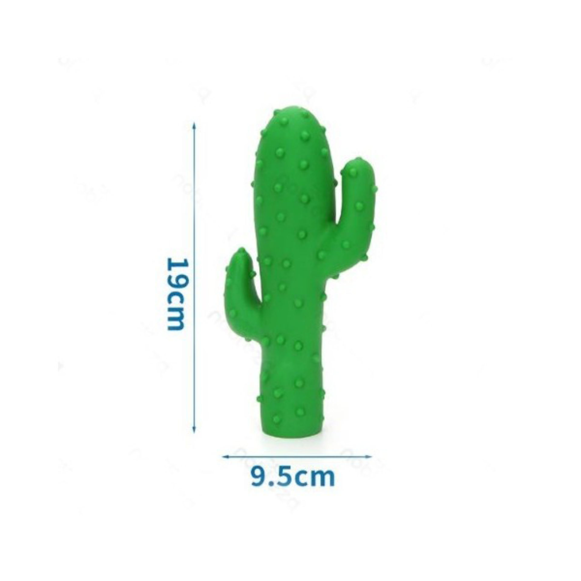 CACTUS IN VINILENobleza